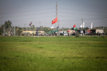 Arbaeen walk; Divaniyeh to Kufa route