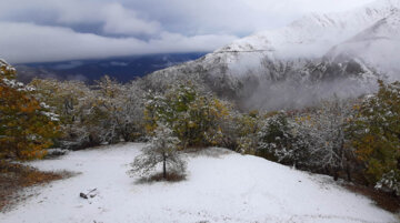 خودنمایی زمستان در پاییز