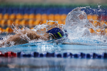 Des compétitions de natation à Téhéran 