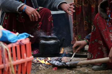 زندگی عشایر در مراتع همدان