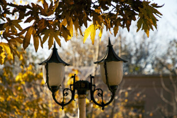 Autumn leaves in Pahlavanpur Garden