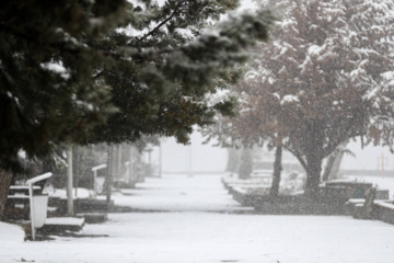 Chutes de neige à Hamadan à l'ouest iranien 