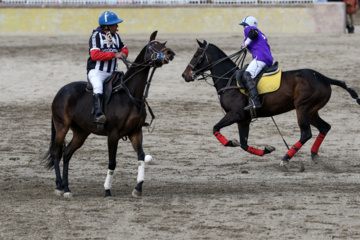 Liga Nacional de Polo en Irán