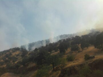 آتش سوزی منطقه حفاظت شده بوزین و مرخیل پاوه