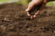 متوسط فرسایش خاک در استان سمنان ۱۵ تن در هکتار است