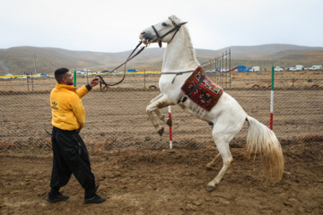 Iran : le 29ème Festival culturel et sportif des Nomades d'Azerbaïdjan au nord-ouest