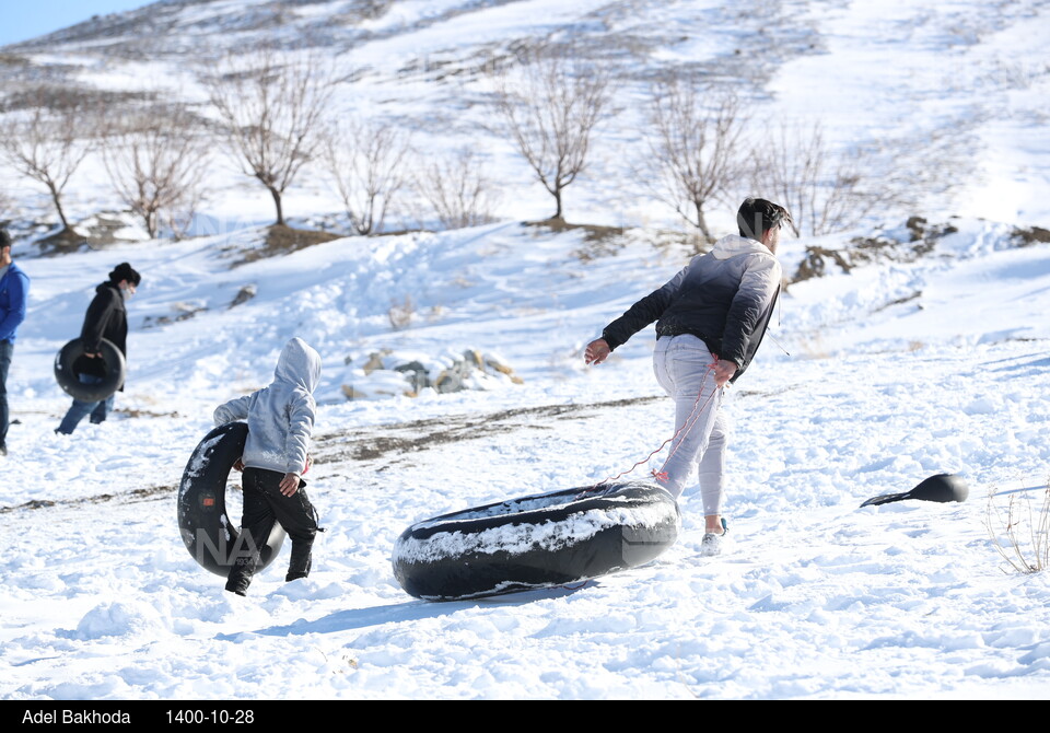 برف بازی در همدان