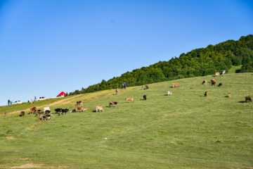 Excursión en Ardebil y Guilán