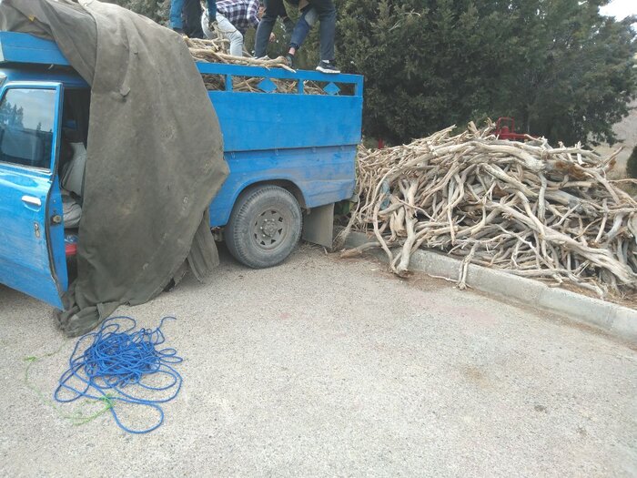 حدود ۶ تن تخم‌مرغ و چوب قاچاق در شرق استان سمنان کشف شد