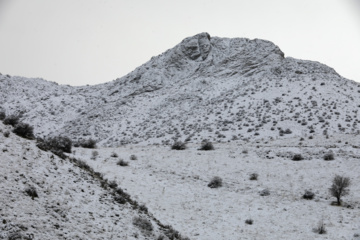 سپیدپوش شدن مناطق کوهستانی کردستان