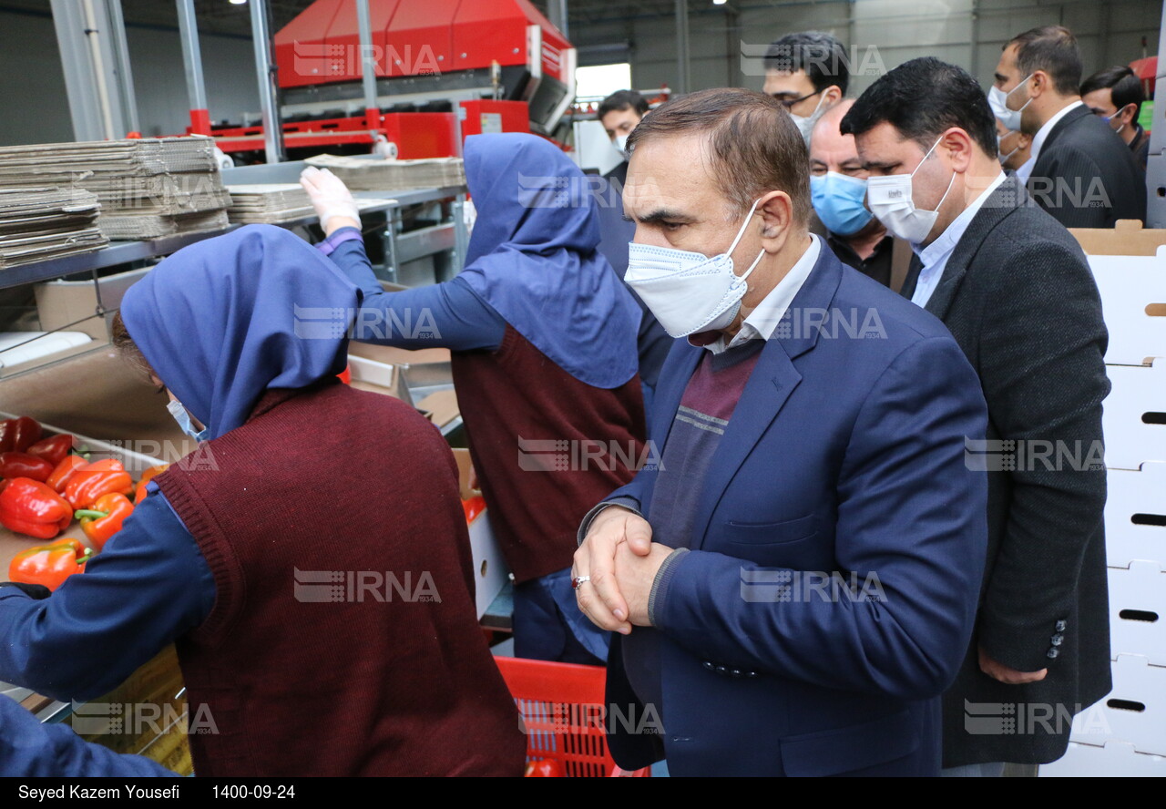 رونمایی از سامانه دانش بنیان نانو حباب در ارس