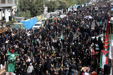 Arbaeen mourners hold rally