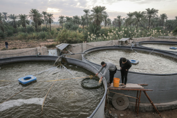 طرح‌های اشتغال‌زایی در خوزستان