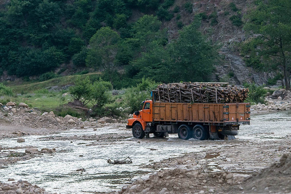 قاچاق چوب آفت جنگل‌های گلستان