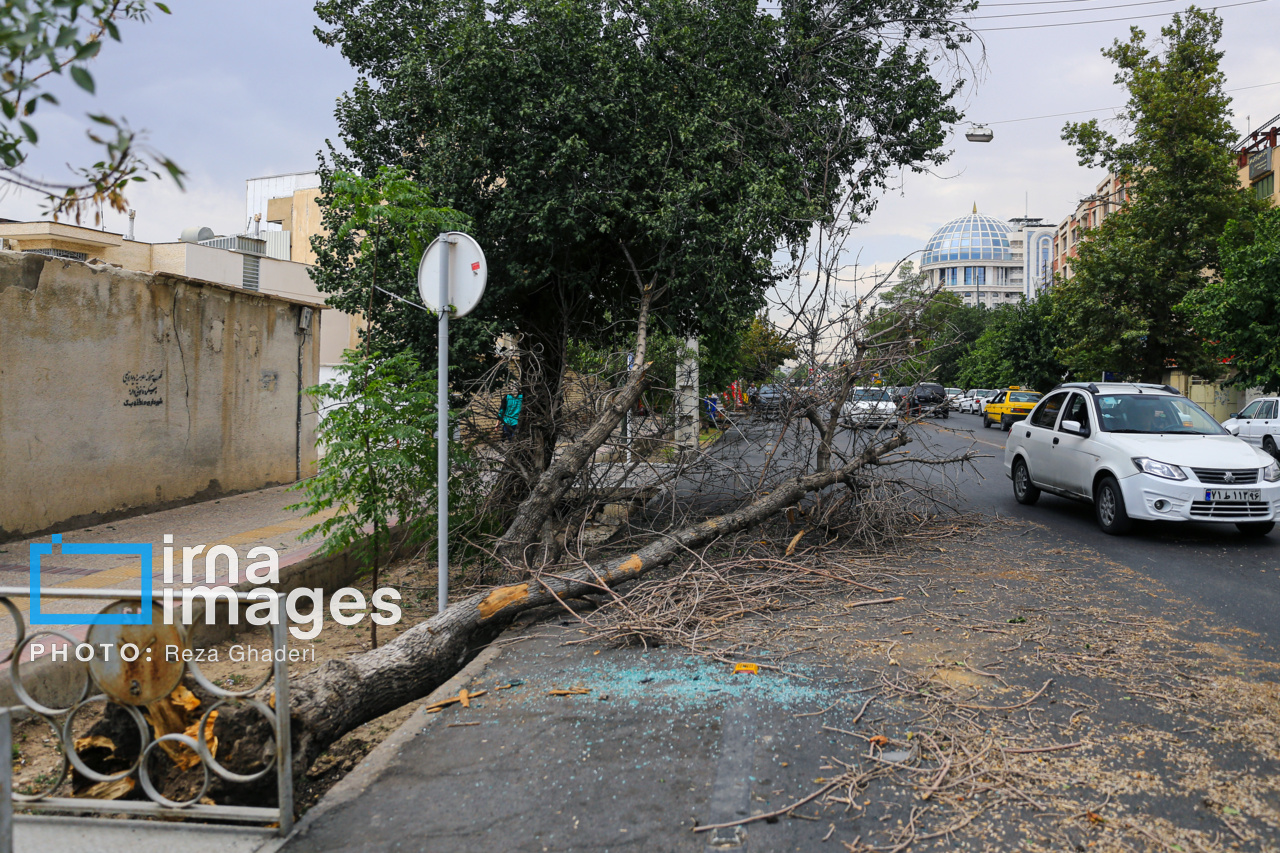 خسارت‌های طوفان در شیراز