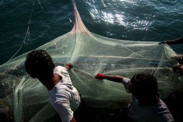 Pesca de camarones y peces en el Golfo Pérsico