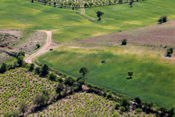 طبیعت زیبای بهاری بدرانلو