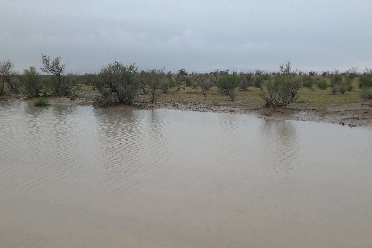 بارش باران در نقاط کویری آران‌وبیدگل