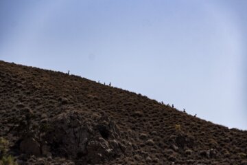 طبیعت پارک ملی گلستان