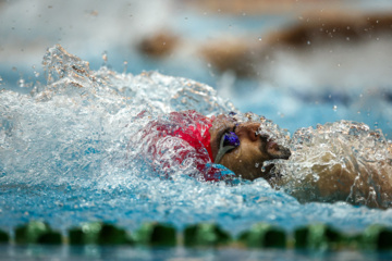 Des compétitions de natation à Téhéran 