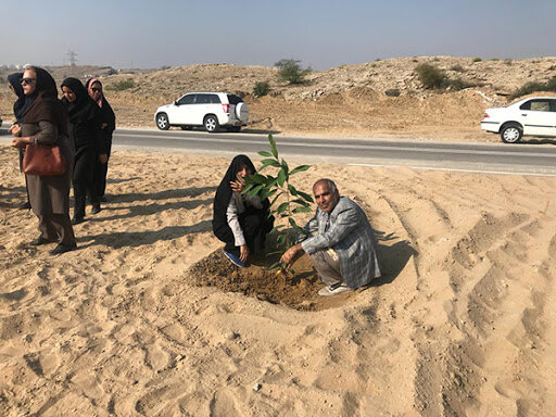 کوهستان پارک پنجه علی نگین بازیافته گردشگری بندرعباس