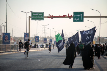 Arbaeen walk; Divaniyeh route