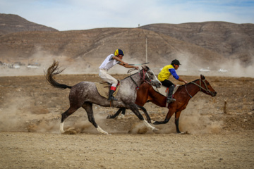 Les chevaux turkmènes de race pure dans la province du Khorasan du Nord