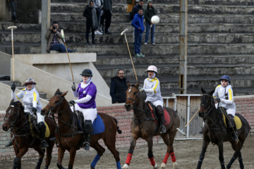 Liga Nacional de Polo en Irán