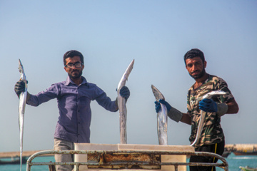 Le port de pêche de Kong au sud de l'Iran