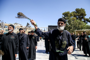 عزاداری شهادت امام رضا (ع) در قم