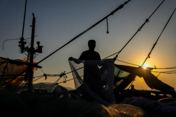 Pesca de camarones y peces en el Golfo Pérsico