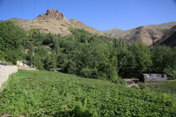 روستای هدف گردشگری شیان