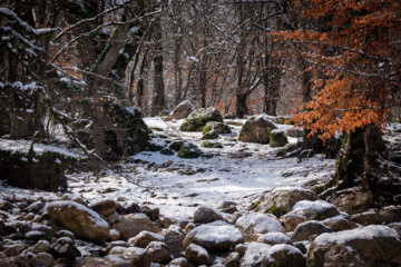 Hiver 2025: nature enneigée des hauteurs de la province de Golestan au nord de l'Iran