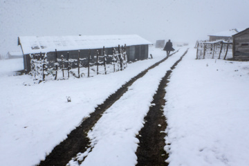 Iran : chutes de neige sur les hauts plateaux du Guilan au nord