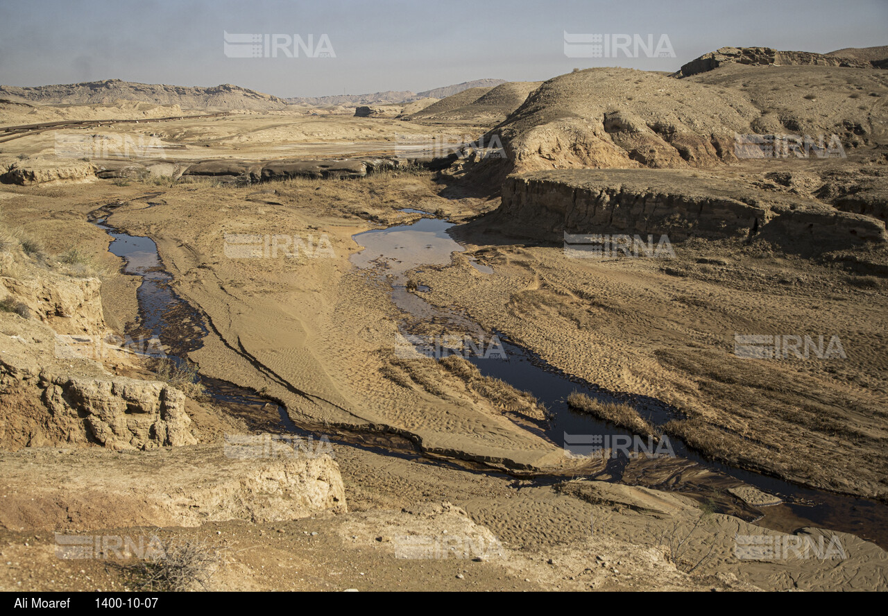 آلودگی ناشی از شکستگی در خط انتقال پساب چاه ۳۶۵ مارون در بخش غیزانیه