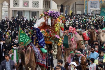 استقبال از کاروان نمادین حضرت معصومه (س) در قم 25