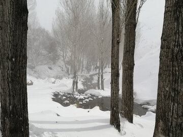 Snowy day in 1st days of winter in Tehran