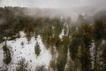 Nieve otoñal en Mazandarán