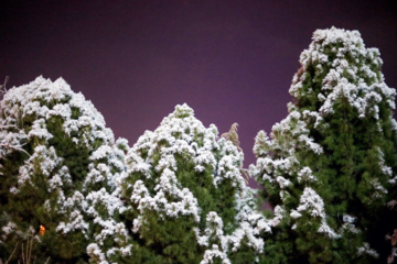 Iran : chute de neiges à Sanandaj 