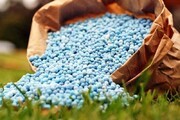 سه هزار و ۷۱۸ تن کود شیمیایی بین کشاورزان قزوین توزیع شد