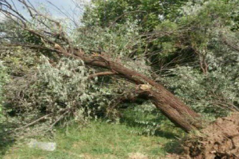 تندبادی با سرعت ۶۴ کیلومتر بر ساعت میاندوآب را در نوردید