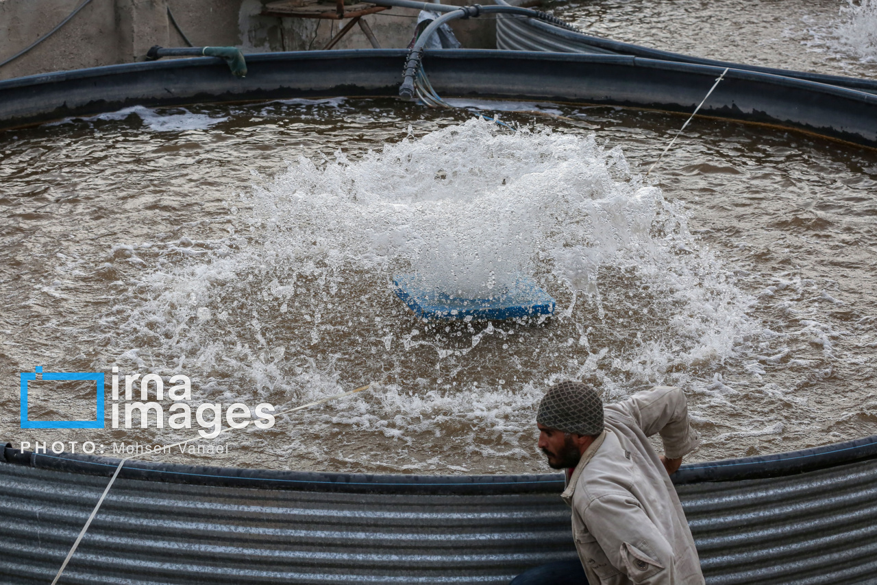 طرح‌های اشتغال‌زایی در خوزستان