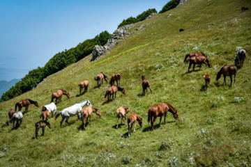 Balades et randonnées en pleine nature dans le nord de l’Iran 