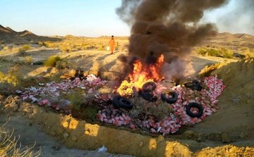 ۱۹۲ تن گوشت غیرقابل مصرف مرغ در خراسان رضوی معدوم شد