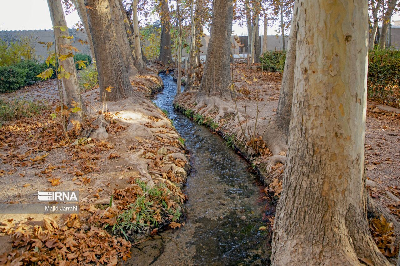 پاییز باغ پهلوان پور