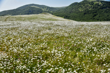 Balades et randonnées en pleine nature dans le nord de l’Iran 