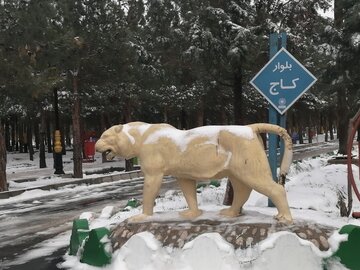 برف و بوران زمستانی و سفیدپوش شدن دامغان