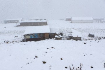 Iran : chutes de neige sur les hauts plateaux du Guilan au nord