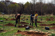 امام جمعه گنبد: مردم گلستان با کاشت نهال به استقبال بهار طبیعت بروند