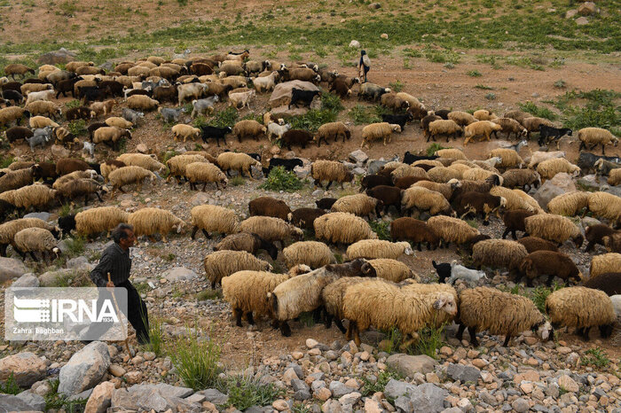 خشکسالی و تنش اجتماعی کشاورزان در خراسان شمالی